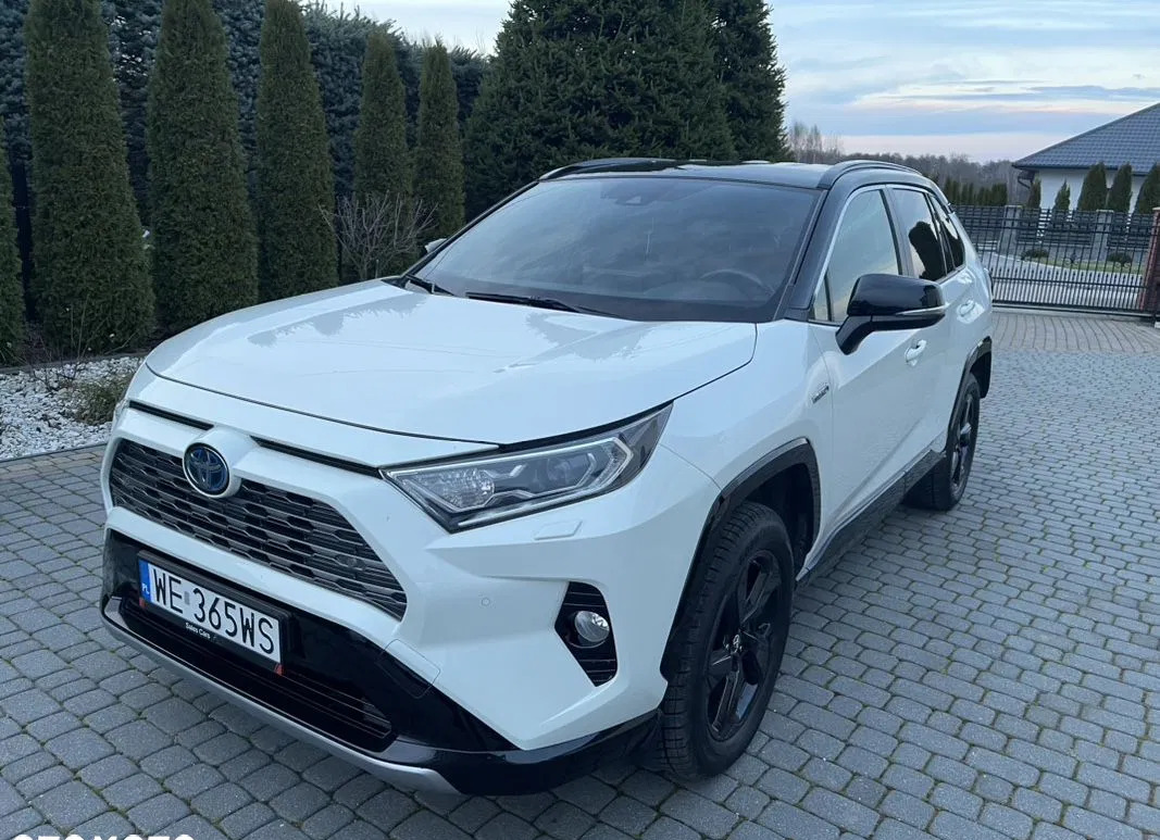 mazowieckie Toyota RAV4 cena 144900 przebieg: 84000, rok produkcji 2019 z Pajęczno